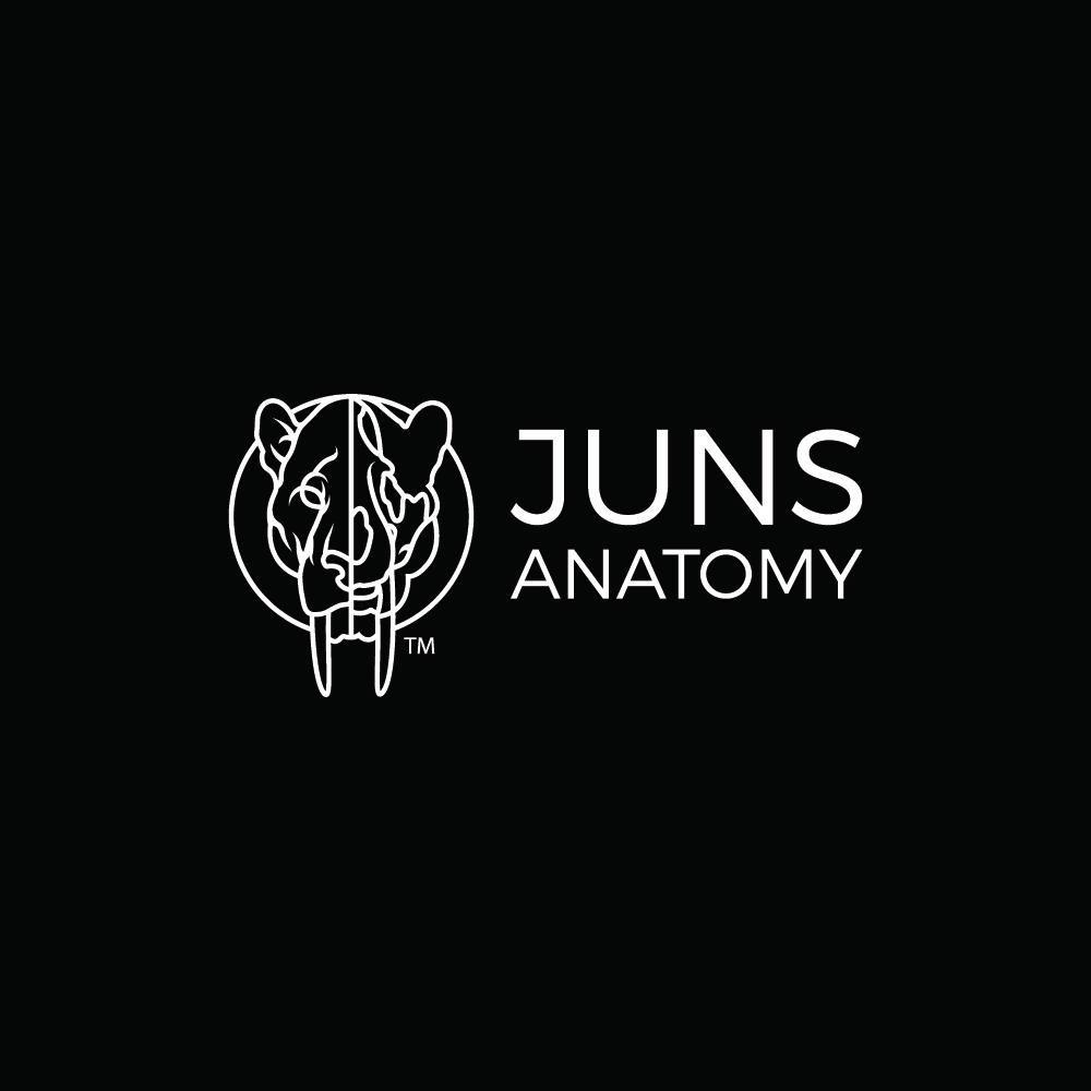 Juns Anatomy Logo